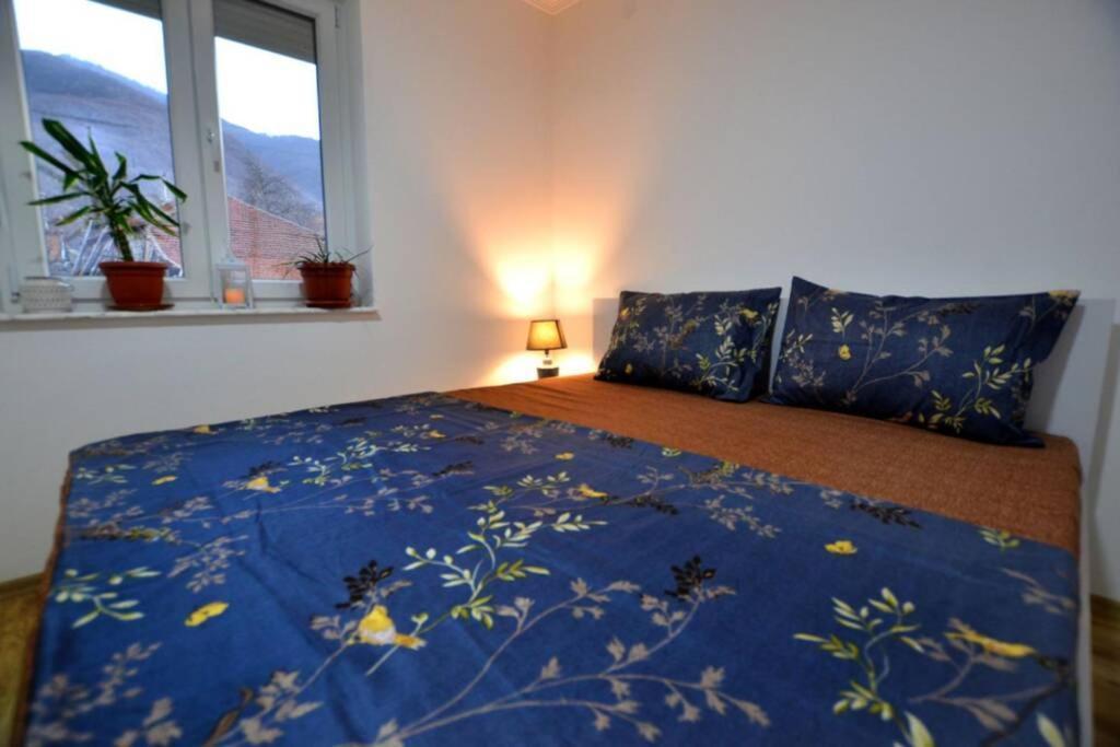 View Apartments Belasica Mokrijevo Dış mekan fotoğraf