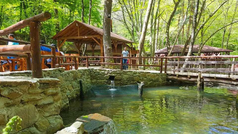View Apartments Belasica Mokrijevo Dış mekan fotoğraf